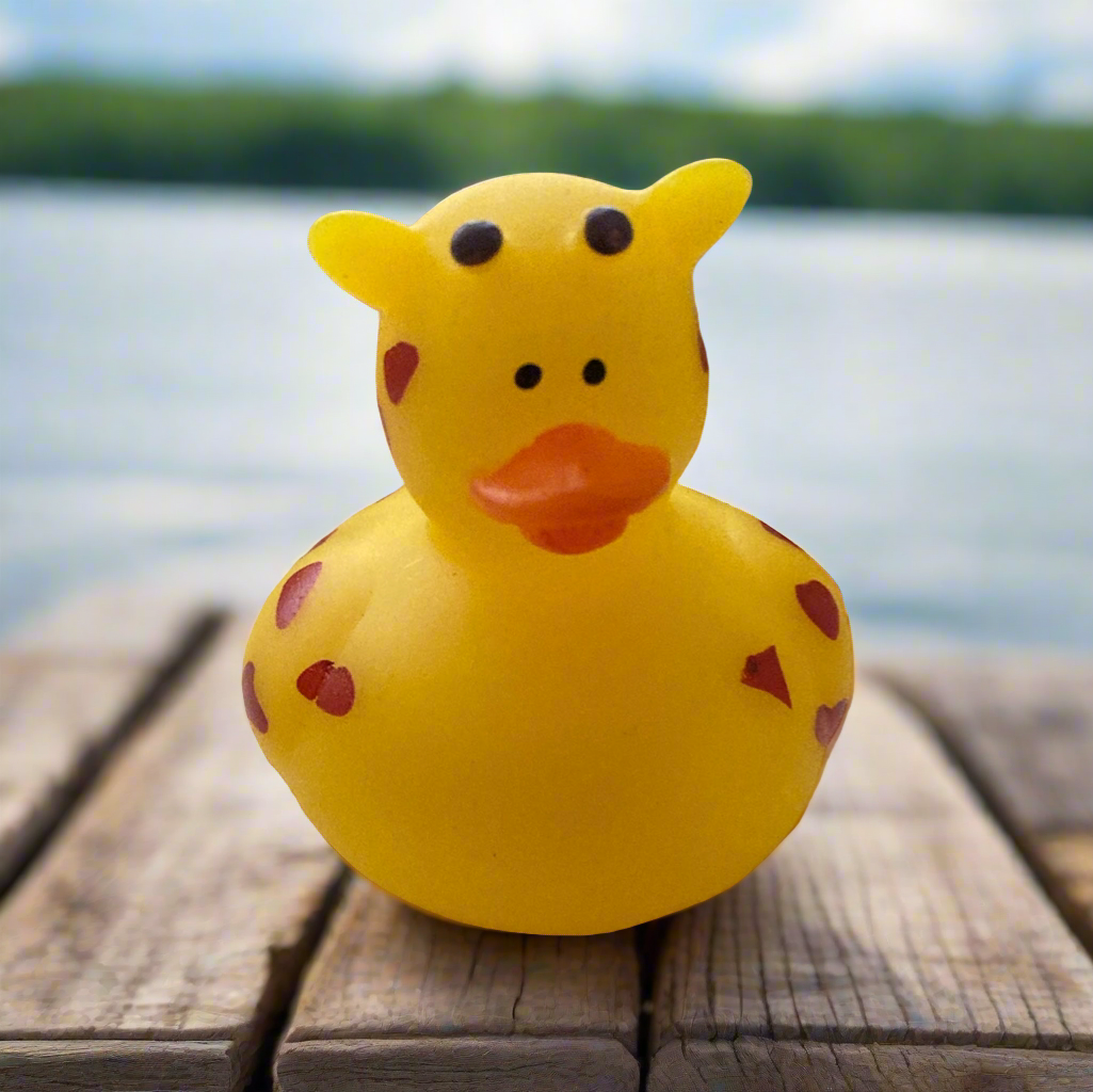 Rubber duck cost online