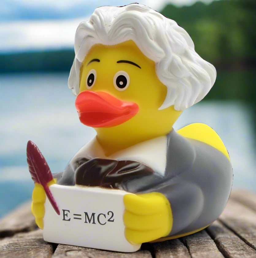 Einstein rubber duck on sale