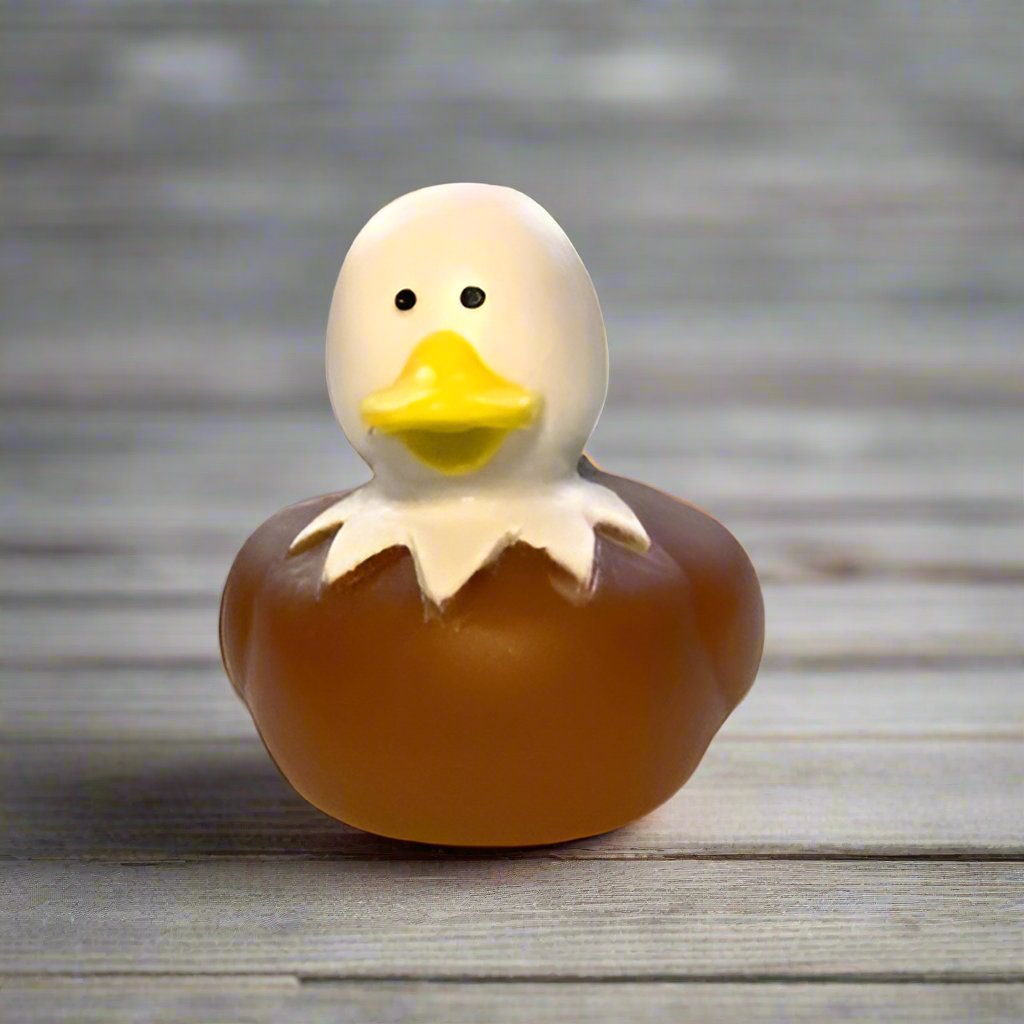 Animal Rubber Ducks