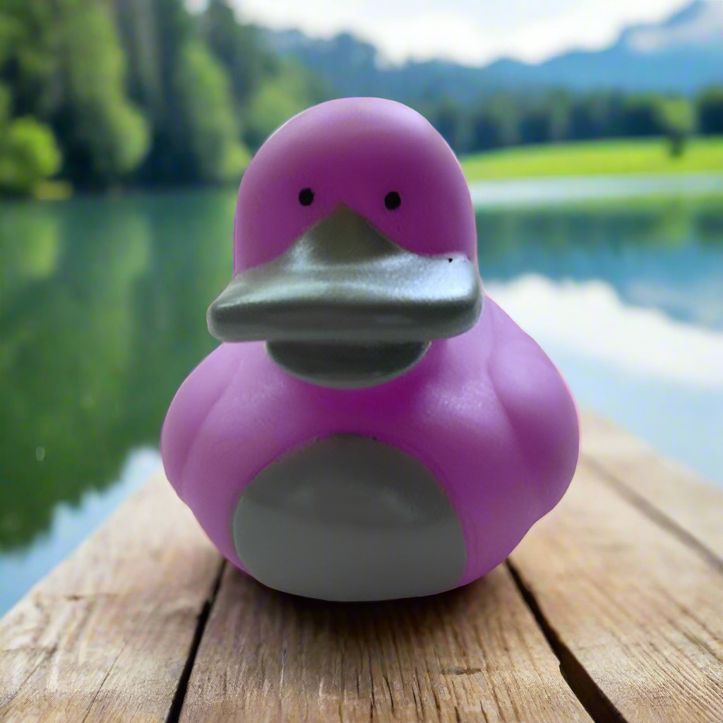 Platypus Rubber Duck