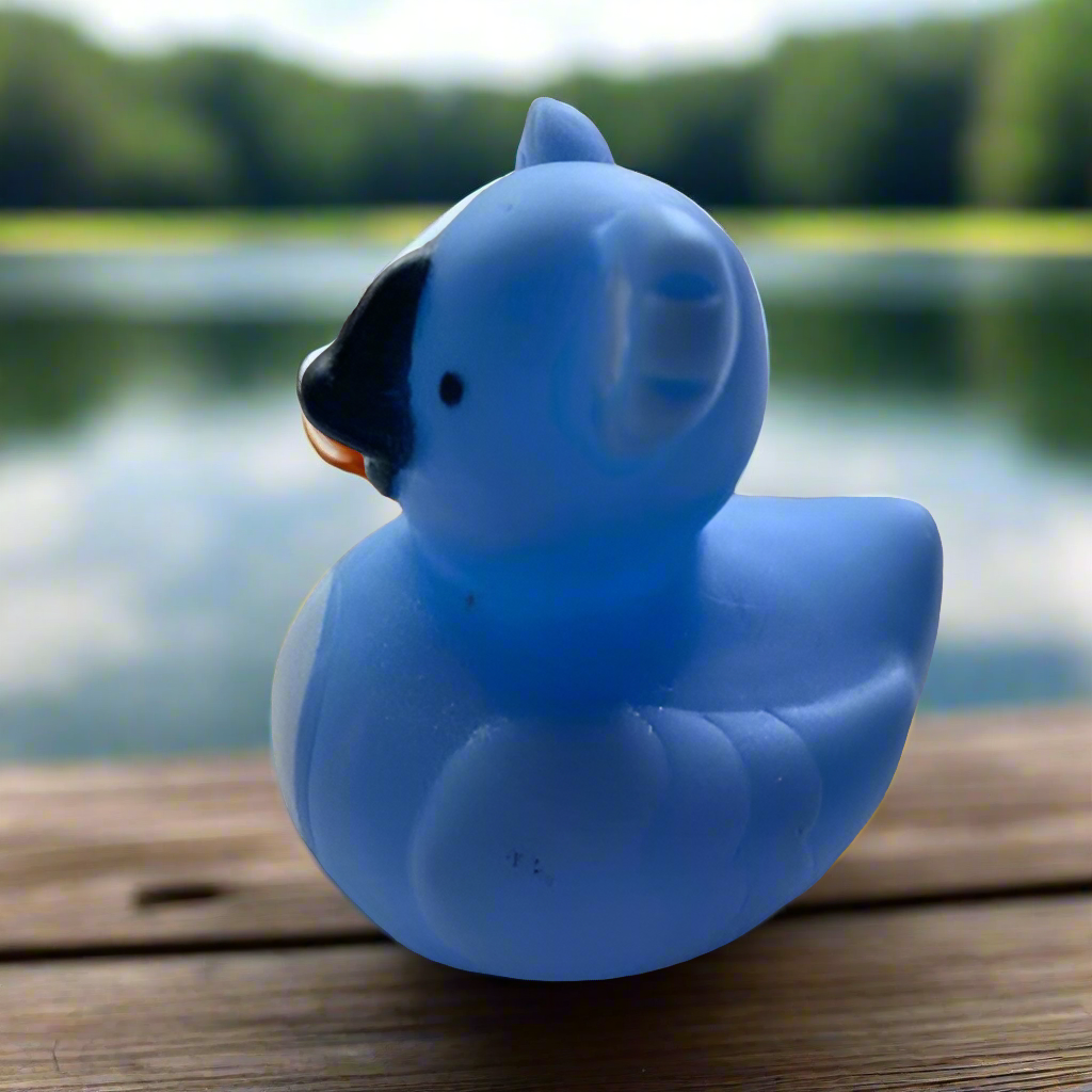 Koala Rubber Duck