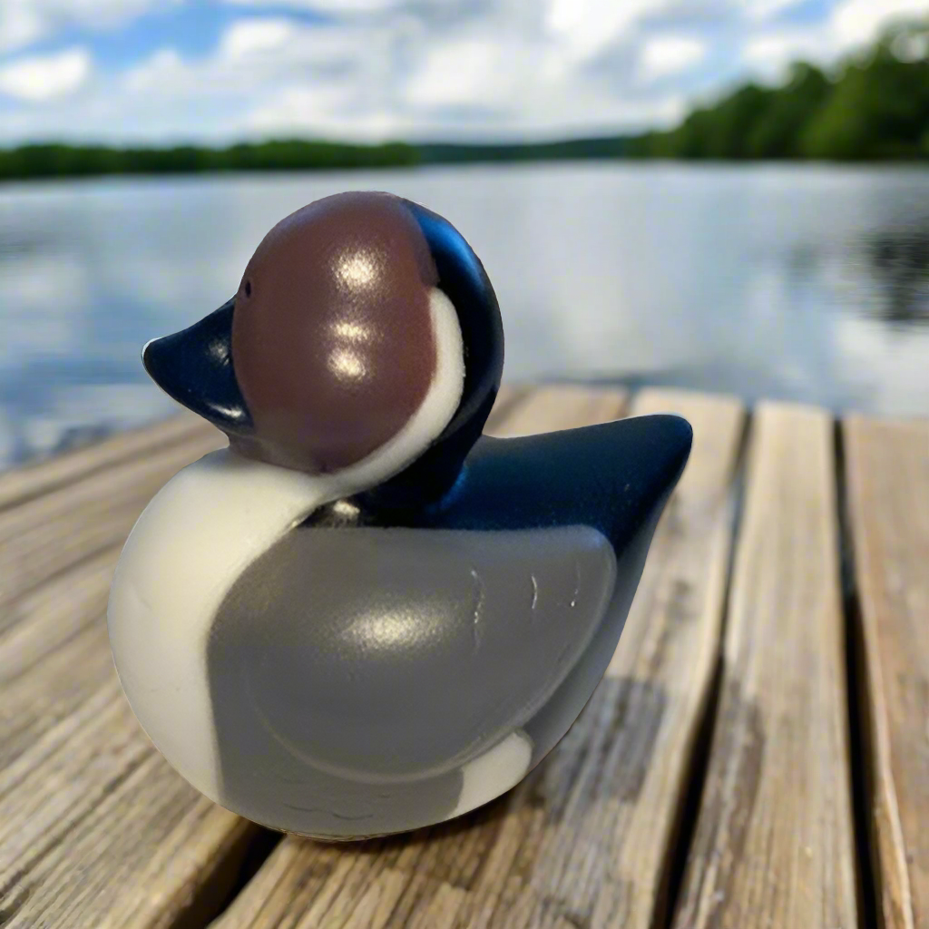 Northern Rubber Duck