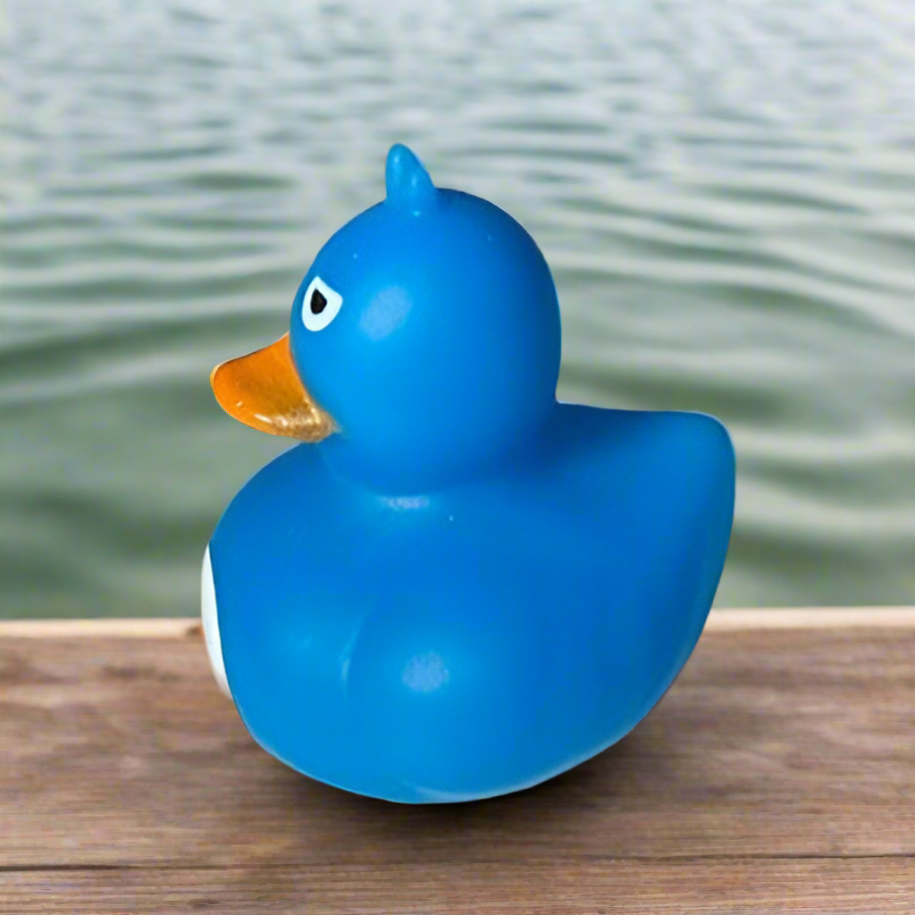 Crazy Eyed Blue Rubber Duck