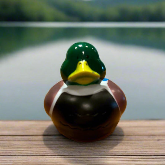 Drake Rubber Duck