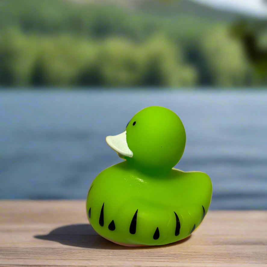 Watermelon Rubber Duck