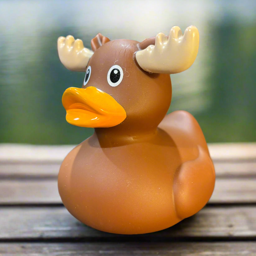 Moose shaped rubber duck with a blurred background