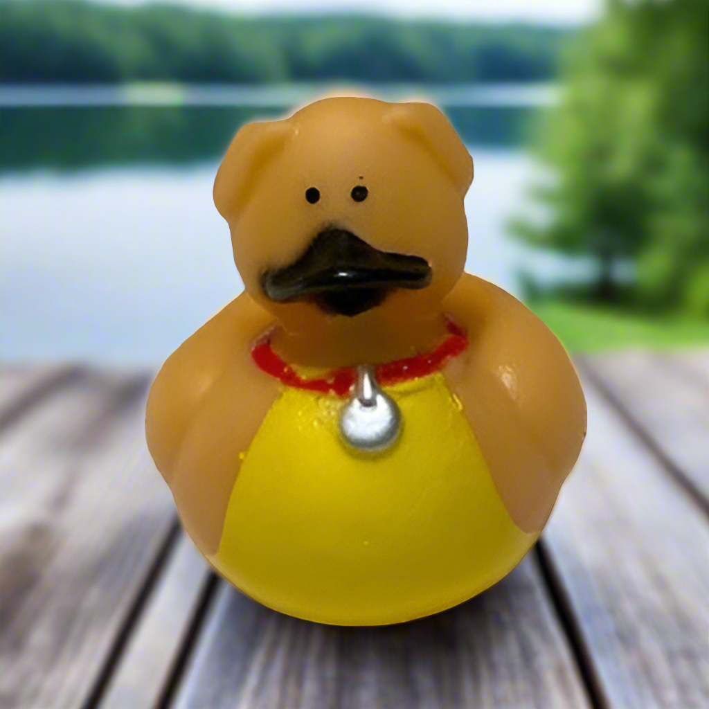 Puppy Chewy Rubber Duck