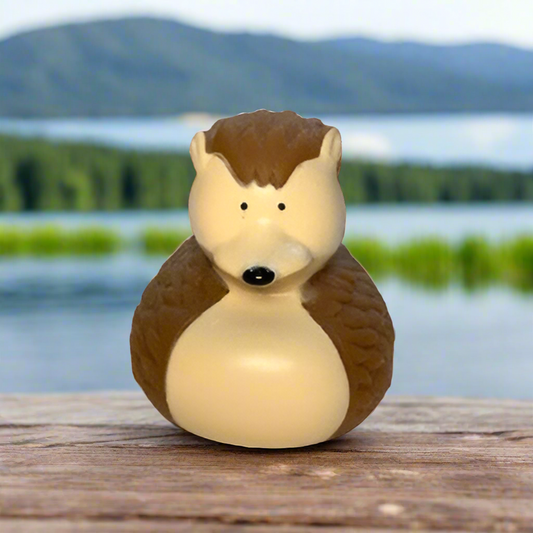 Hedgehog Rubber Duck