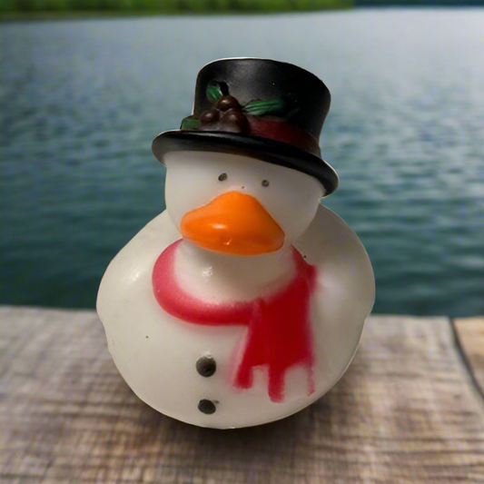 Frosty Rubber Duck