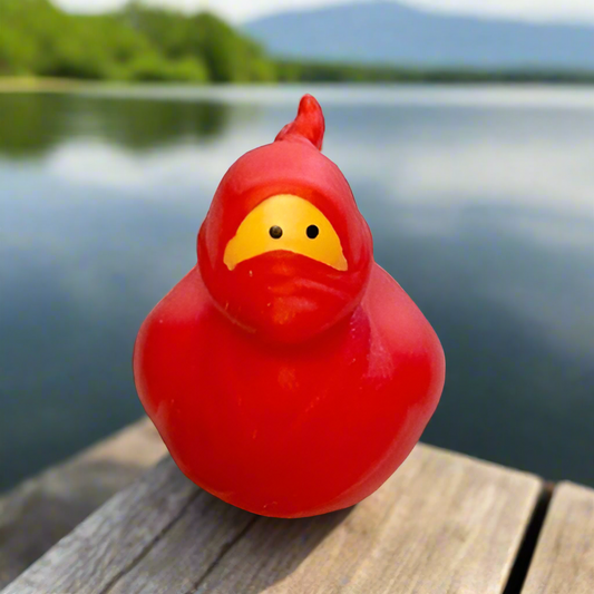 Ninja Stealth Rubber Duck