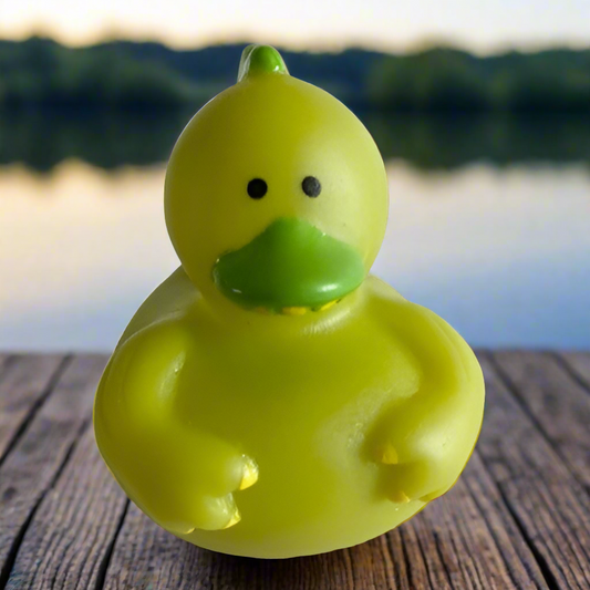 Baby Dinosaur Rubber Duck