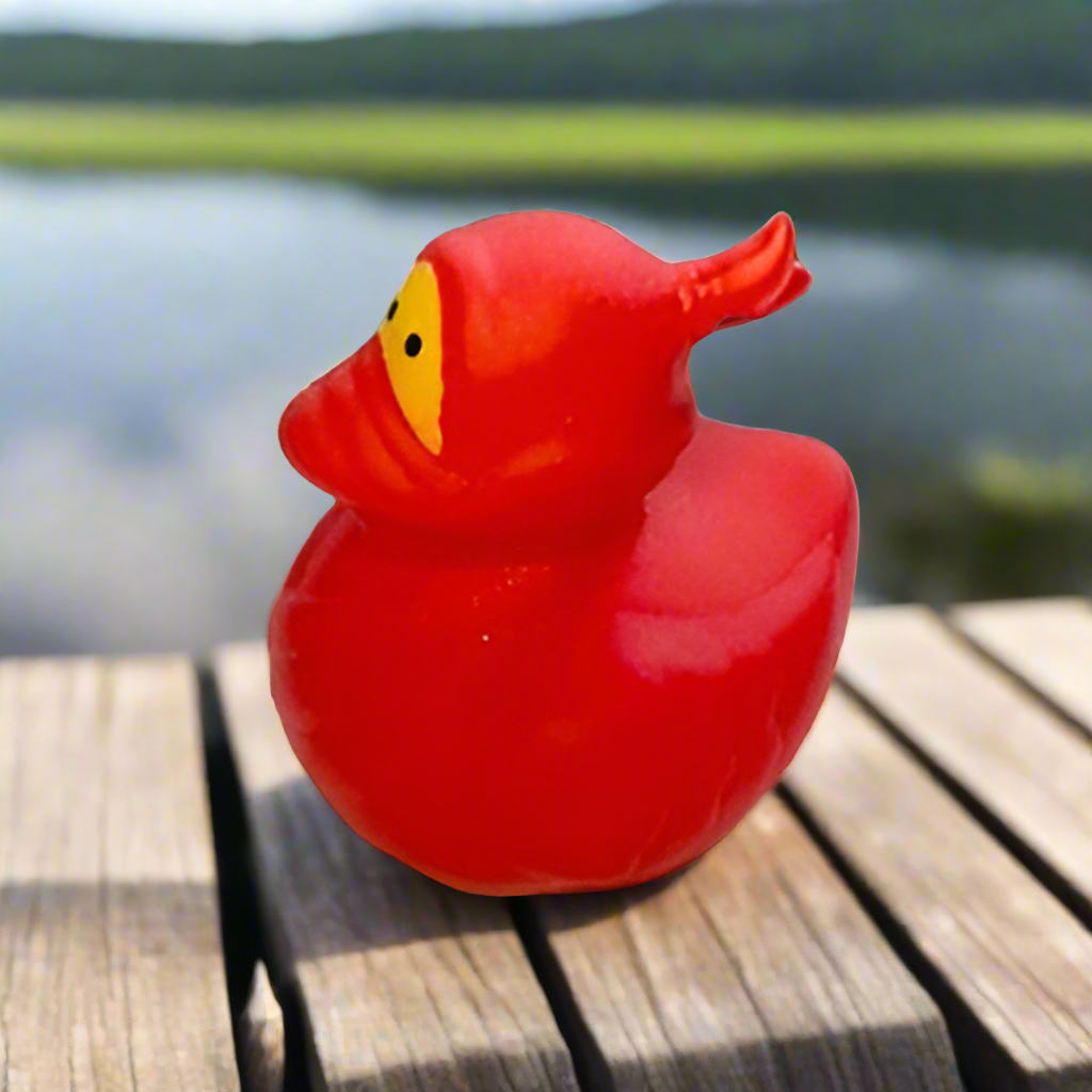 Ninja Stealth Rubber Duck