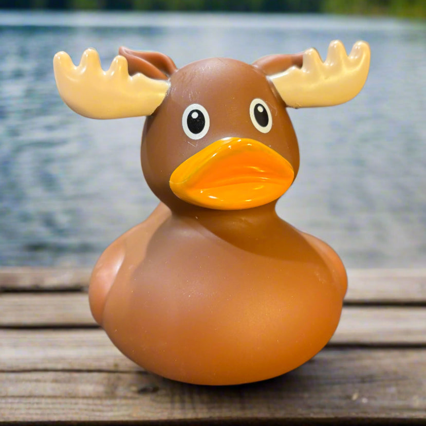 Brown rubber duck with moose antlers