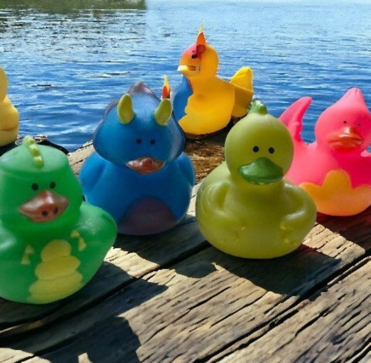 Bulk Rubber Ducks - Cruise Ducks - Huge Variety - Rubber Ducky - Ducks - Bathtime FUN - NO DUPLICATES