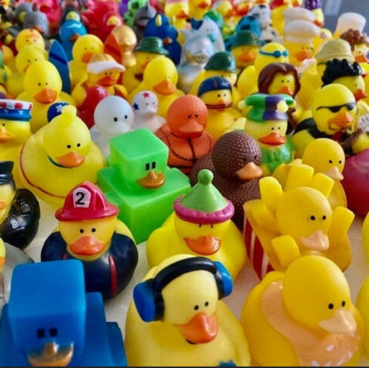 Bulk Rubber Ducks - Cruise Ducks - Huge Variety - Rubber Ducky - Ducks - Bathtime FUN - NO DUPLICATES