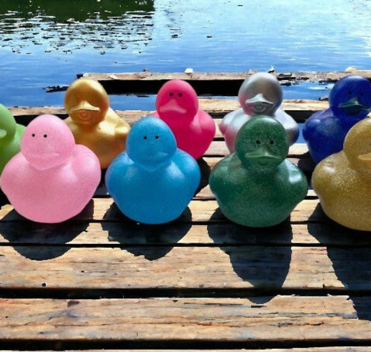 Bulk Rubber Ducks - Cruise Ducks - Huge Variety - Rubber Ducky - Ducks - Bathtime FUN - NO DUPLICATES