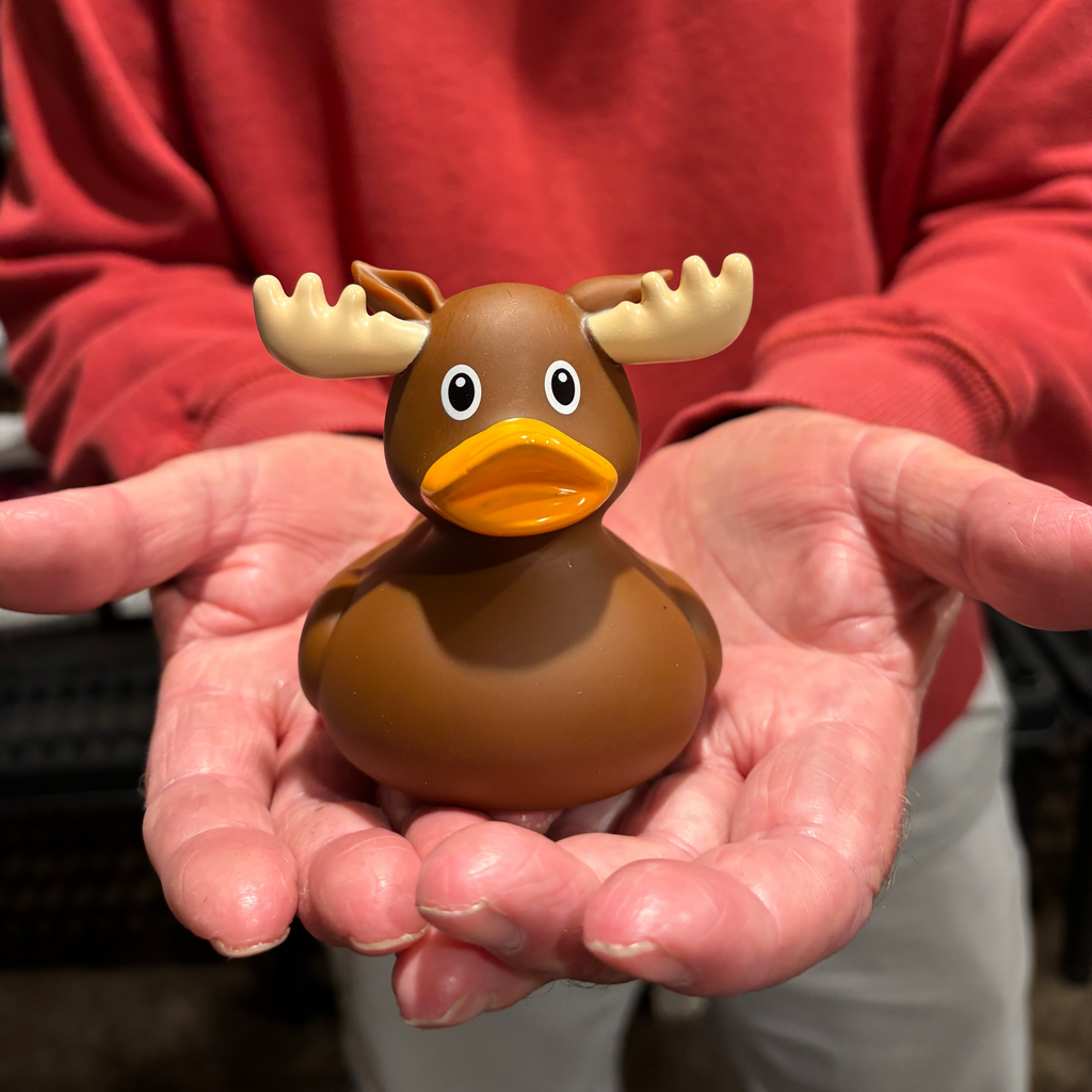 Person holding a moose-shaped rubber duck in their hands
