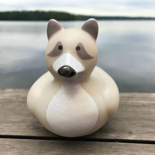 Racoon Rubber Duck