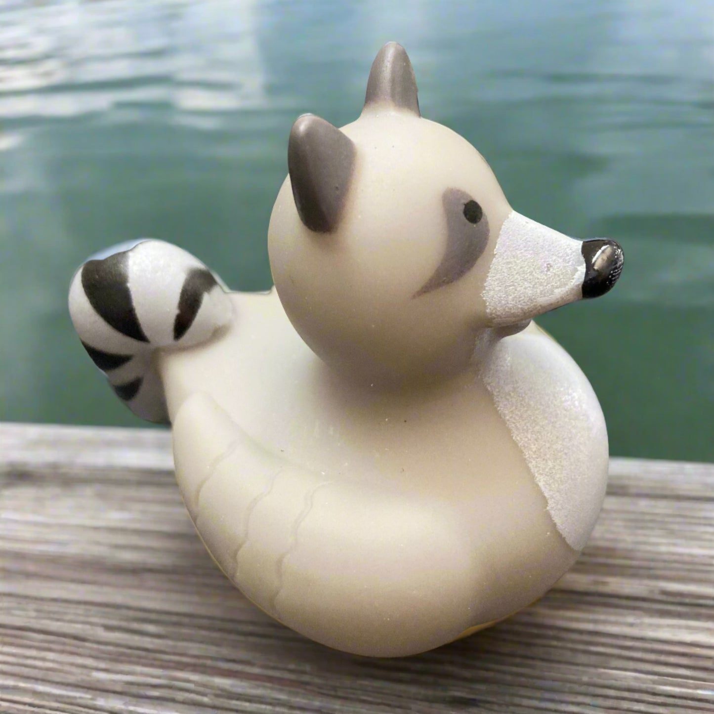 Racoon Rubber Duck