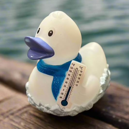 Frosty Rubber Duck