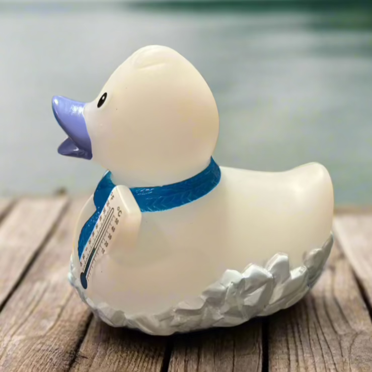 Frosty Rubber Duck