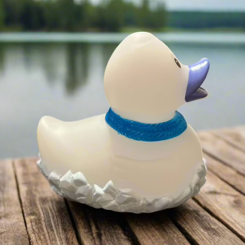 Frosty Rubber Duck