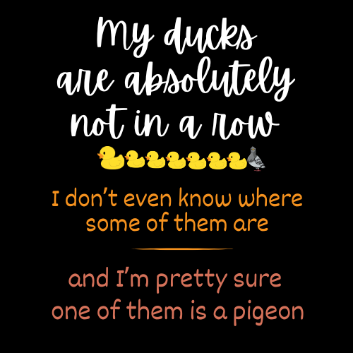 My Ducks are not in a Row - Adult Unisex Tee