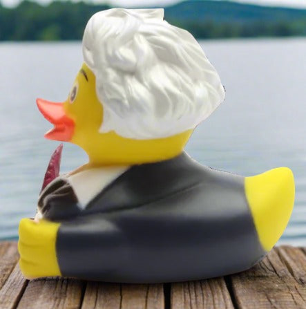 Einstein Rubber Duck