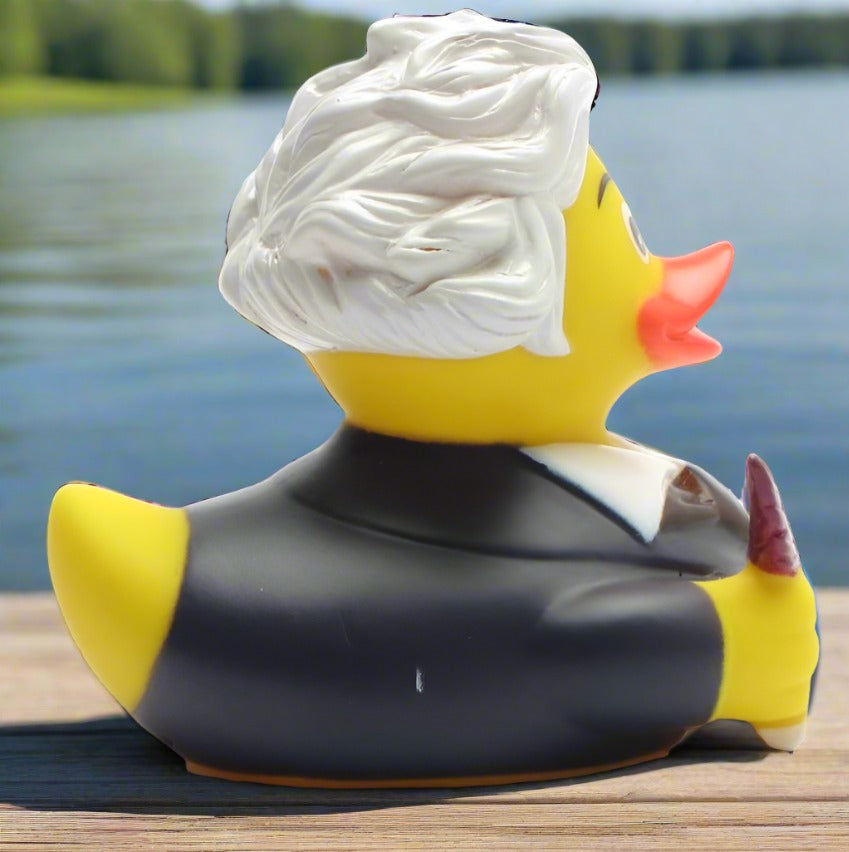 Einstein Rubber Duck