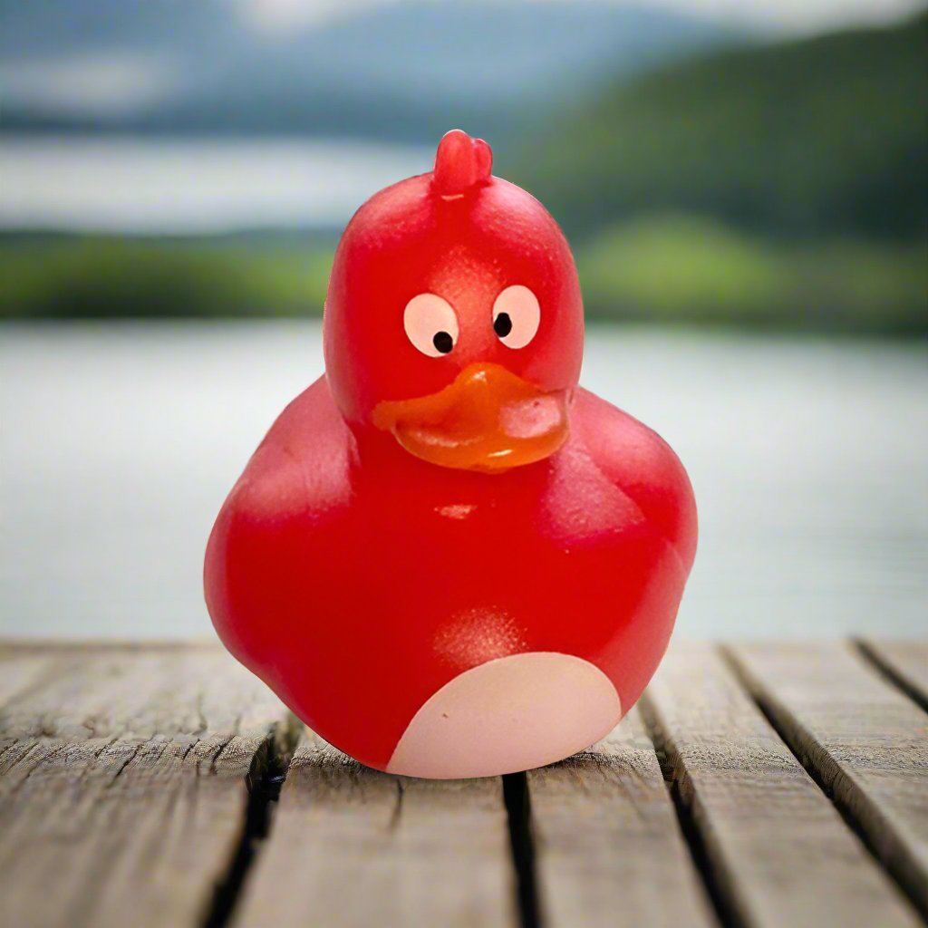 Crazy Eyed Red Rubber Duck