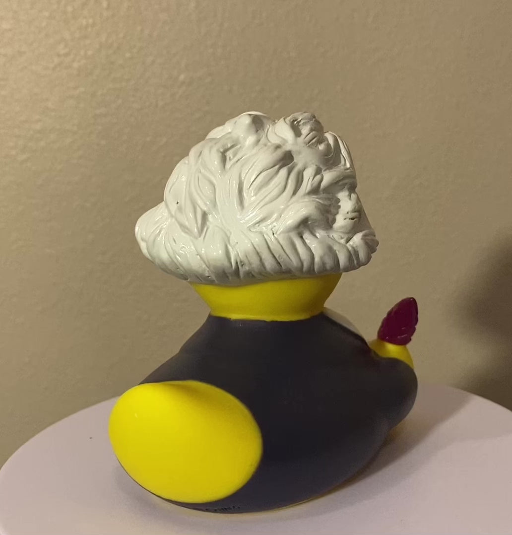 Einstein rubber duck online